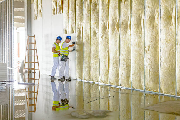 Best Cellulose Insulation in Lake Holiday, IN
